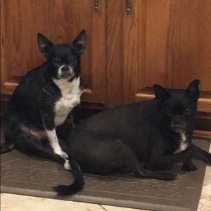 Meet your Posher, Karen